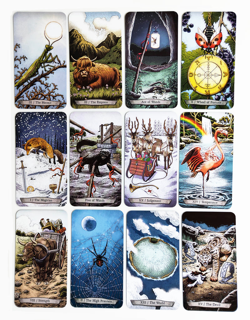 Animal Totem Tarot Bulk Wholesale