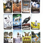 Animal Totem Tarot Bulk Wholesale