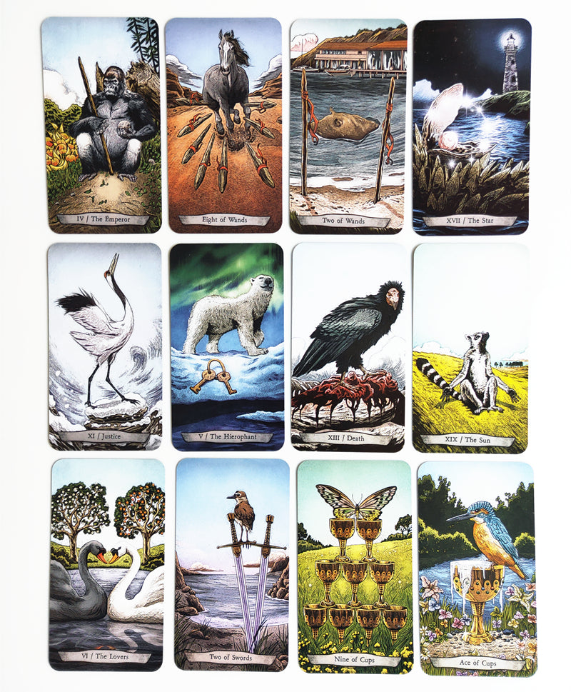 Animal Totem Tarot Bulk Wholesale