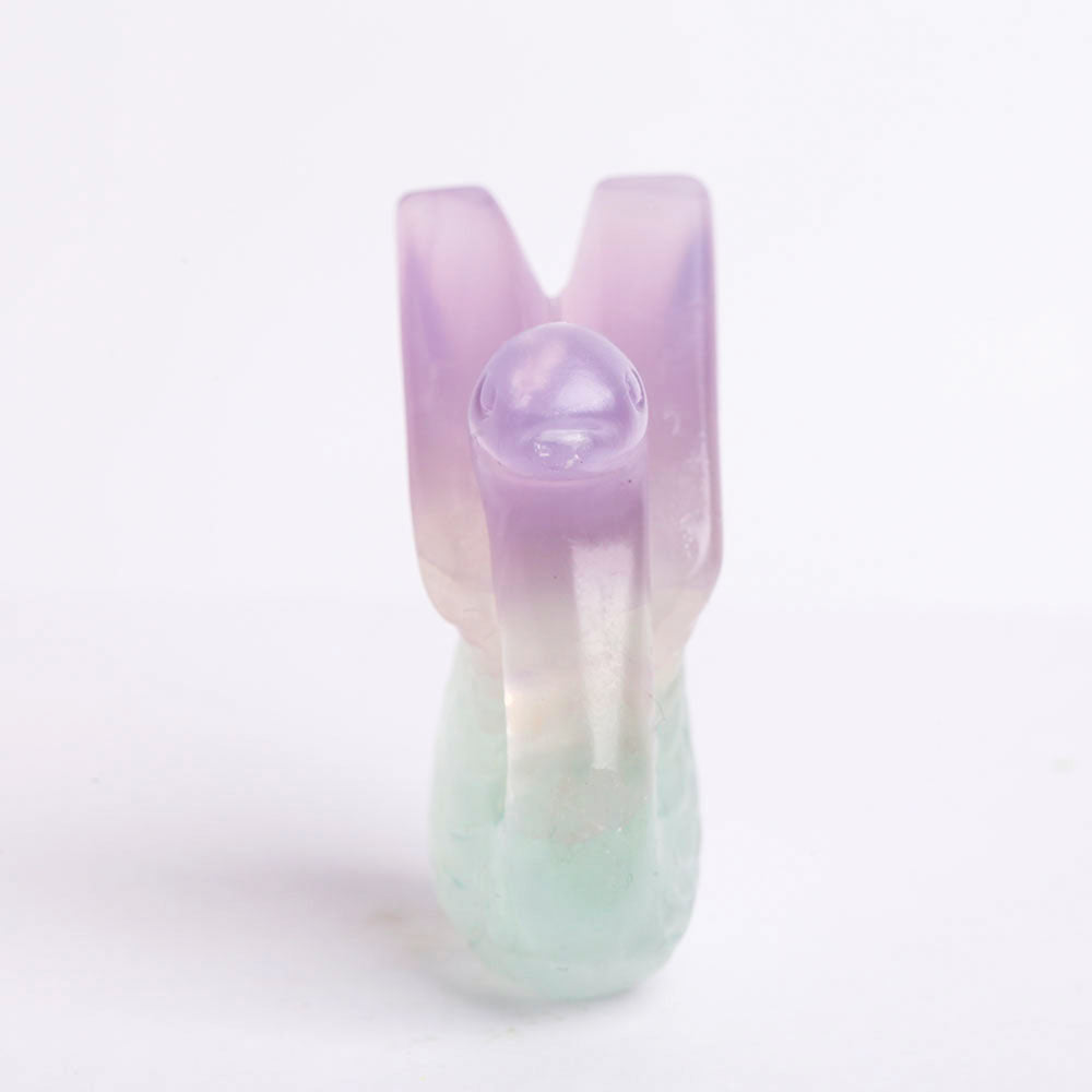 Mini Fluorite Animal Figurine Crystal Carvings