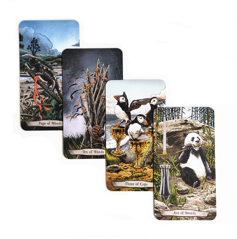 Animal Totem Tarot Bulk Wholesale