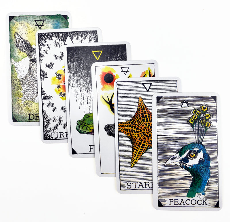 Animal Spirit Tarot Card Bulk Whoelsale