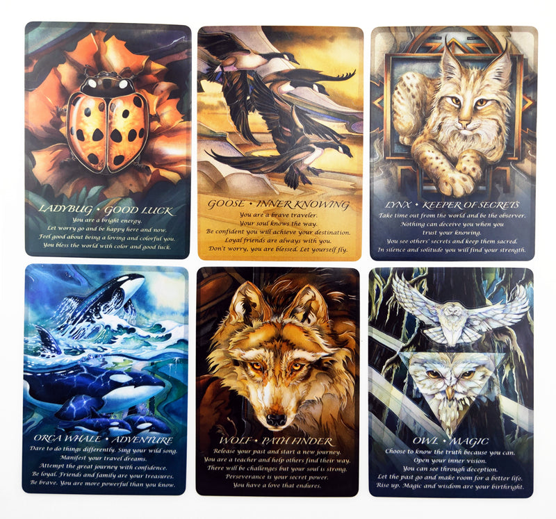 Spirit of Animal Tarot Cards Bulk Wholesale