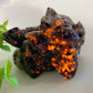 3.0" Mixed Crystal Dragon Carvings Crystal Healing Bulk Wholesale