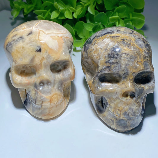 3.2" Crazy Agate Skull Bulk Wholesale