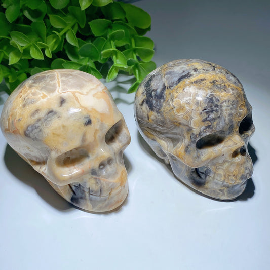 3.2" Crazy Agate Skull Bulk Wholesale