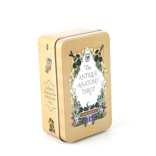 Antique Anatomy Tarot Metal Box Bulk Wholesale