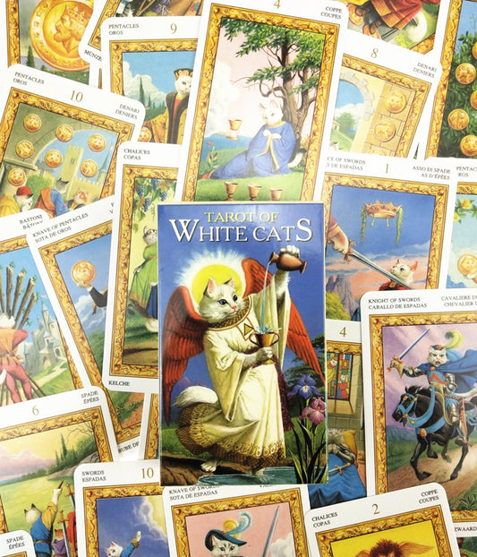 White Cat Tarot Cards Bulk Wholesale